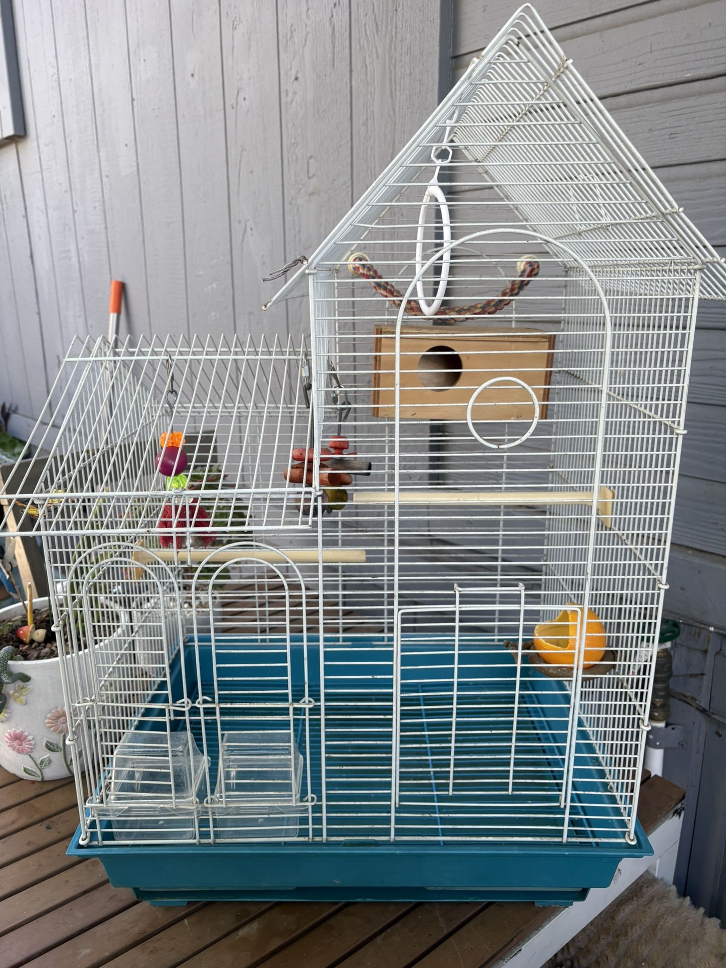 Bird Cage