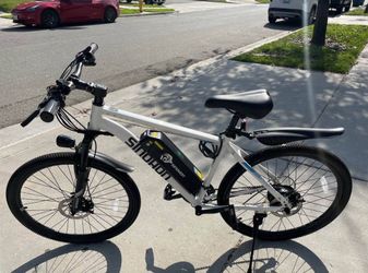 Electric bike