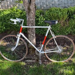 Raleigh Road Bike