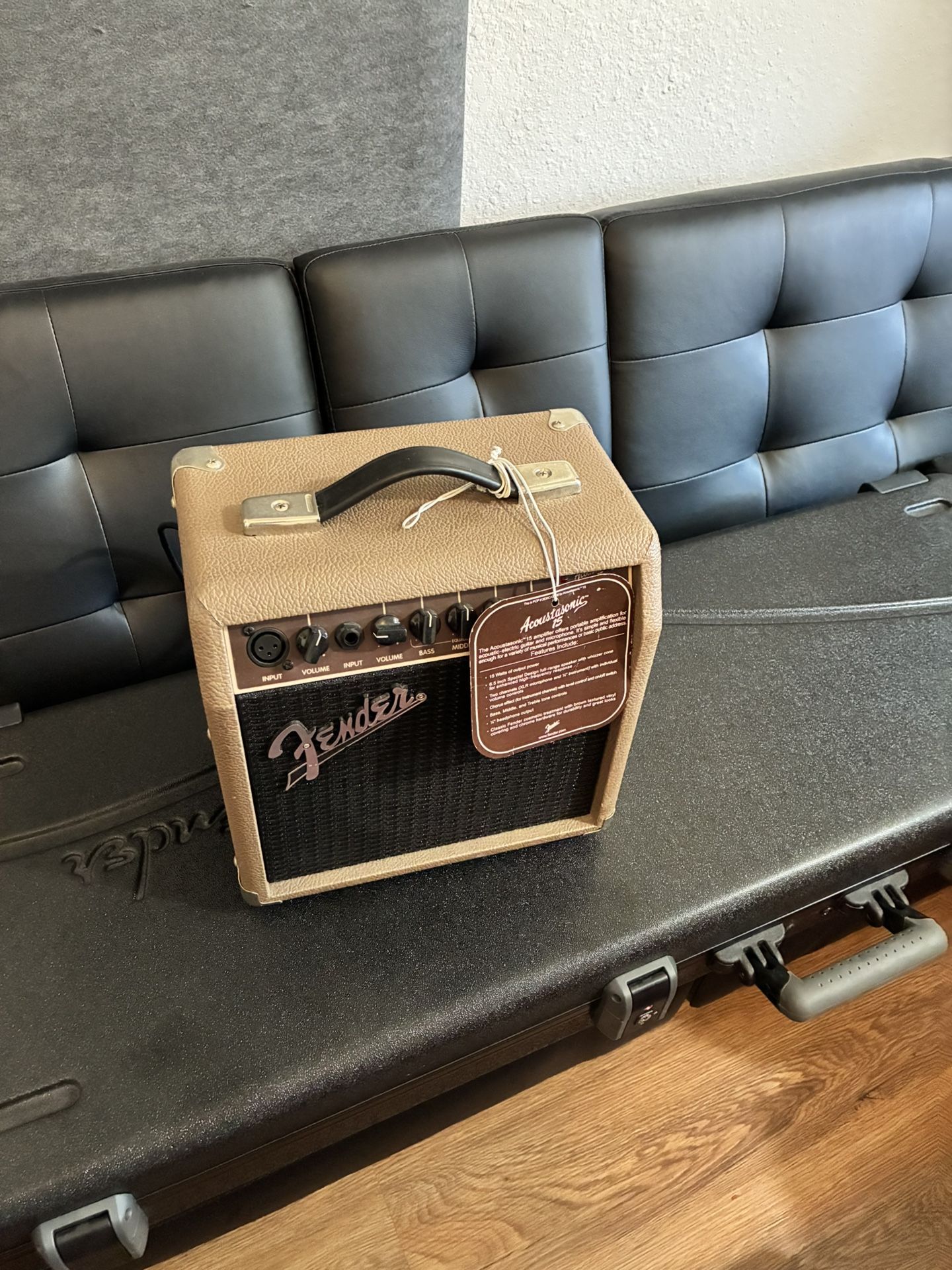 Fender Acoustasonic™ 15