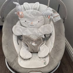 Ingenuity Baby Bouncer