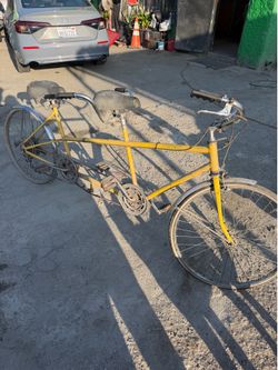 Bike two seater