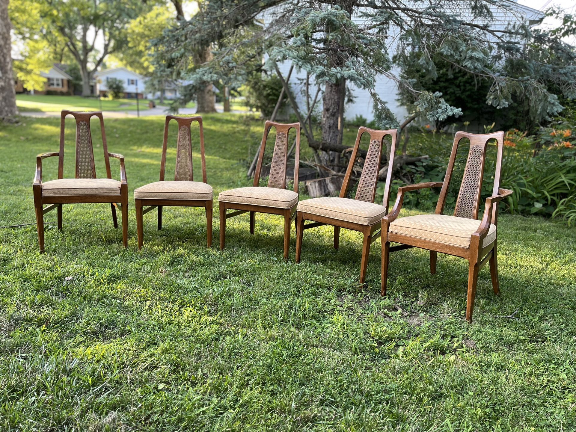 Antique Wooden Wicker Dining Room Chair Set
