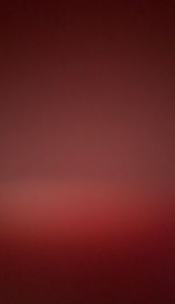 Looking for Jordan 6