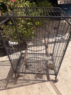 Parrot cage