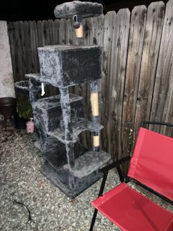 Casa para gatos