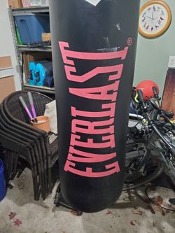 Everlast Heavy Boxing Bag