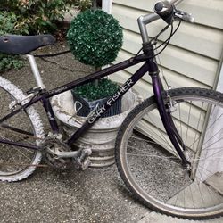 Vintage Gary Fisher Aquila Mountain Bike