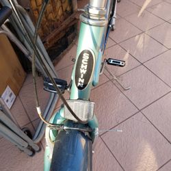 Schwinn