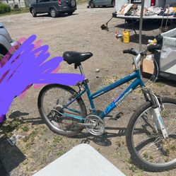 24’ Inch Bike