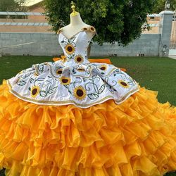 Quinceañera Dress 