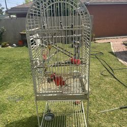 Heavy Duty Bird Cage 