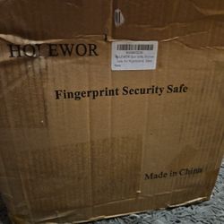 HOLEWOR FINGERPRINT  SECURITY SAFE