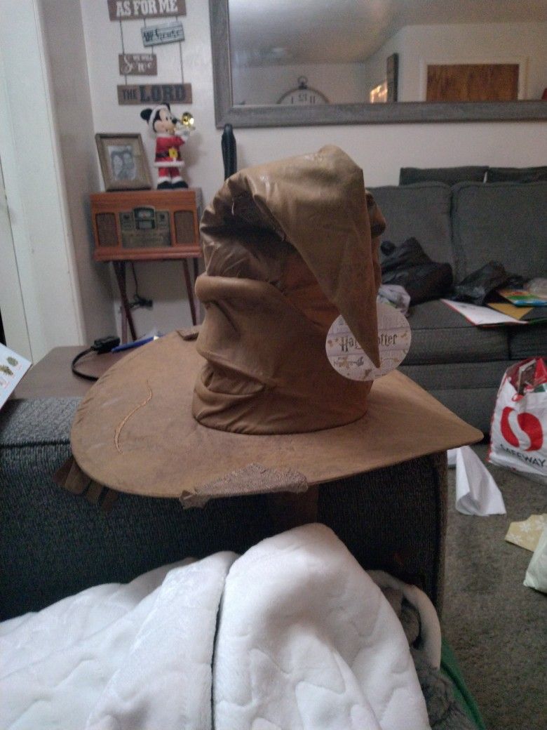 Harry Potter Witch Hat