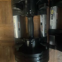 Core Home Fitness Adjustable Dumbell Set