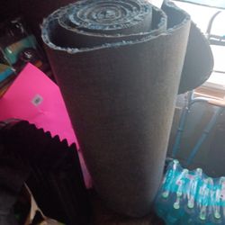 Blue Rug Pick Up Todsy 20 Dollars 