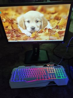 Entry Level Custom Gaming Desktop With Monitor