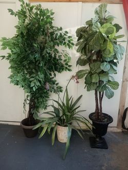 Artificial Greenery