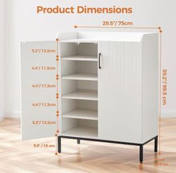 Modern Shoe Cabinet with Metal Legs