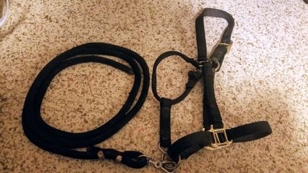Horse supplies make offer