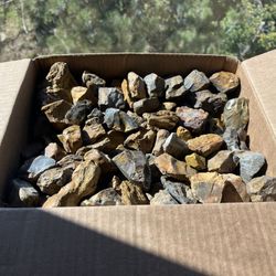 Petrified Wood - 14 Lb Box 