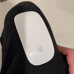 Wireless Magic Mouse