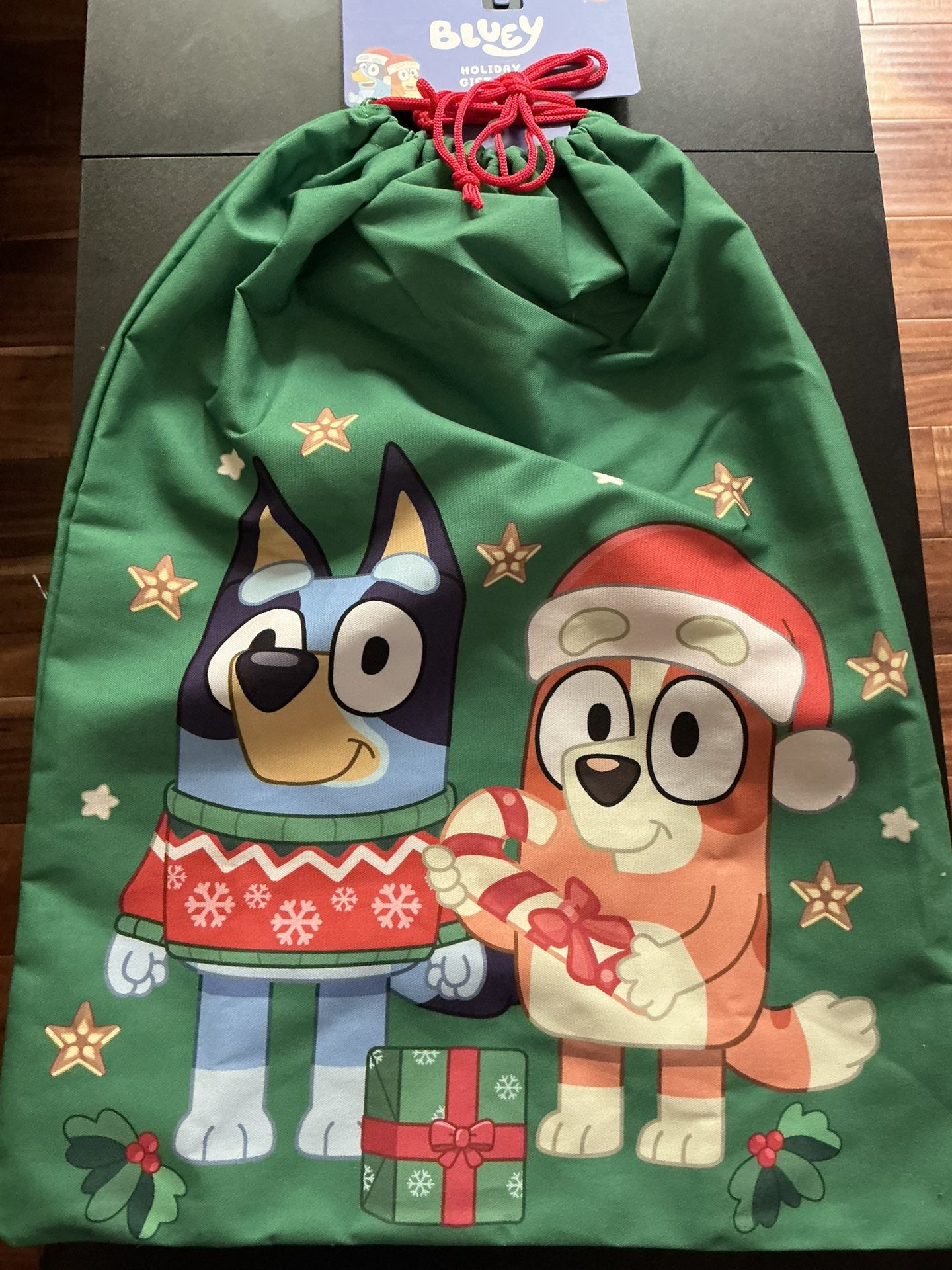 Bluey Holiday Gift Bag