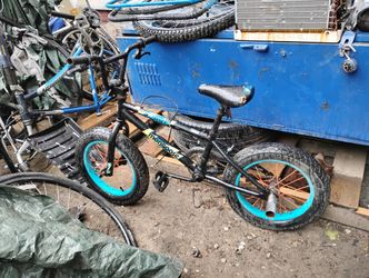 Mongoose , 16 Fatboy 