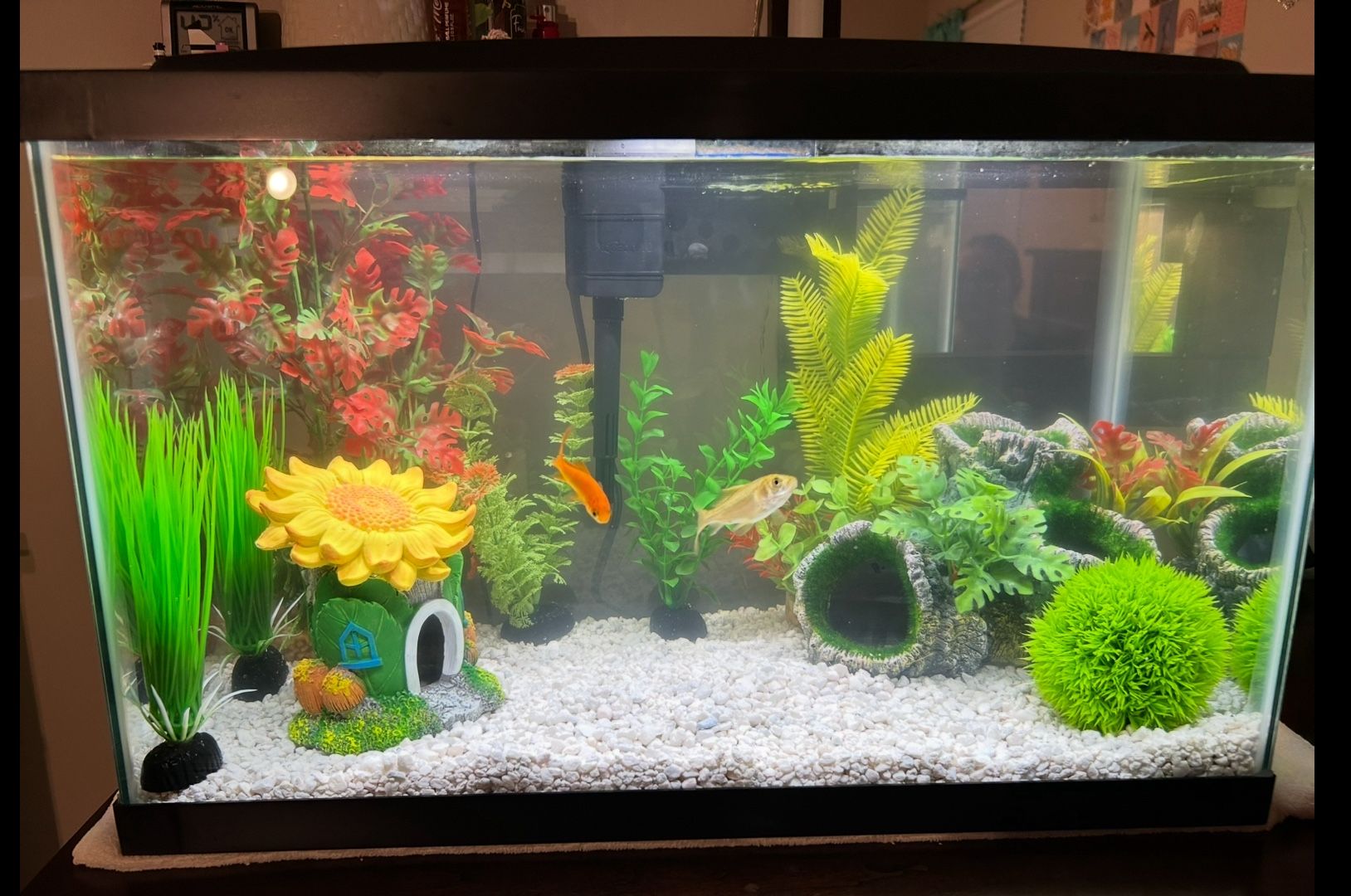 Fish Tank / Aquarium Kit and Decorations.