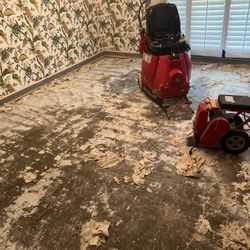 Flooring Floor Demo Removal