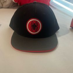 Spider man Hat
