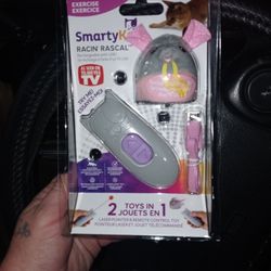 Smarty Cat Chasing Rechargeable Toy