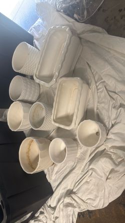 Plant Pots