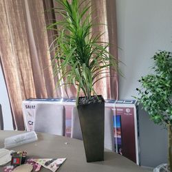 Faux Plant Decor 