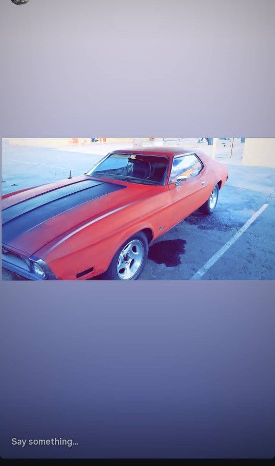 Mustang For Sale
