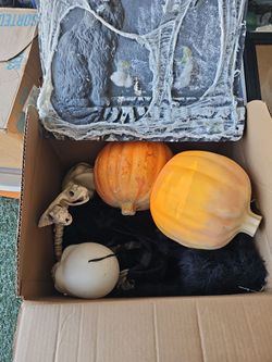 Halloween decorations