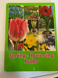 Spring-Flowering Bulbs
