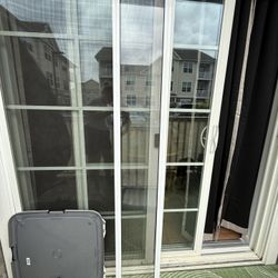Dog Door Panel