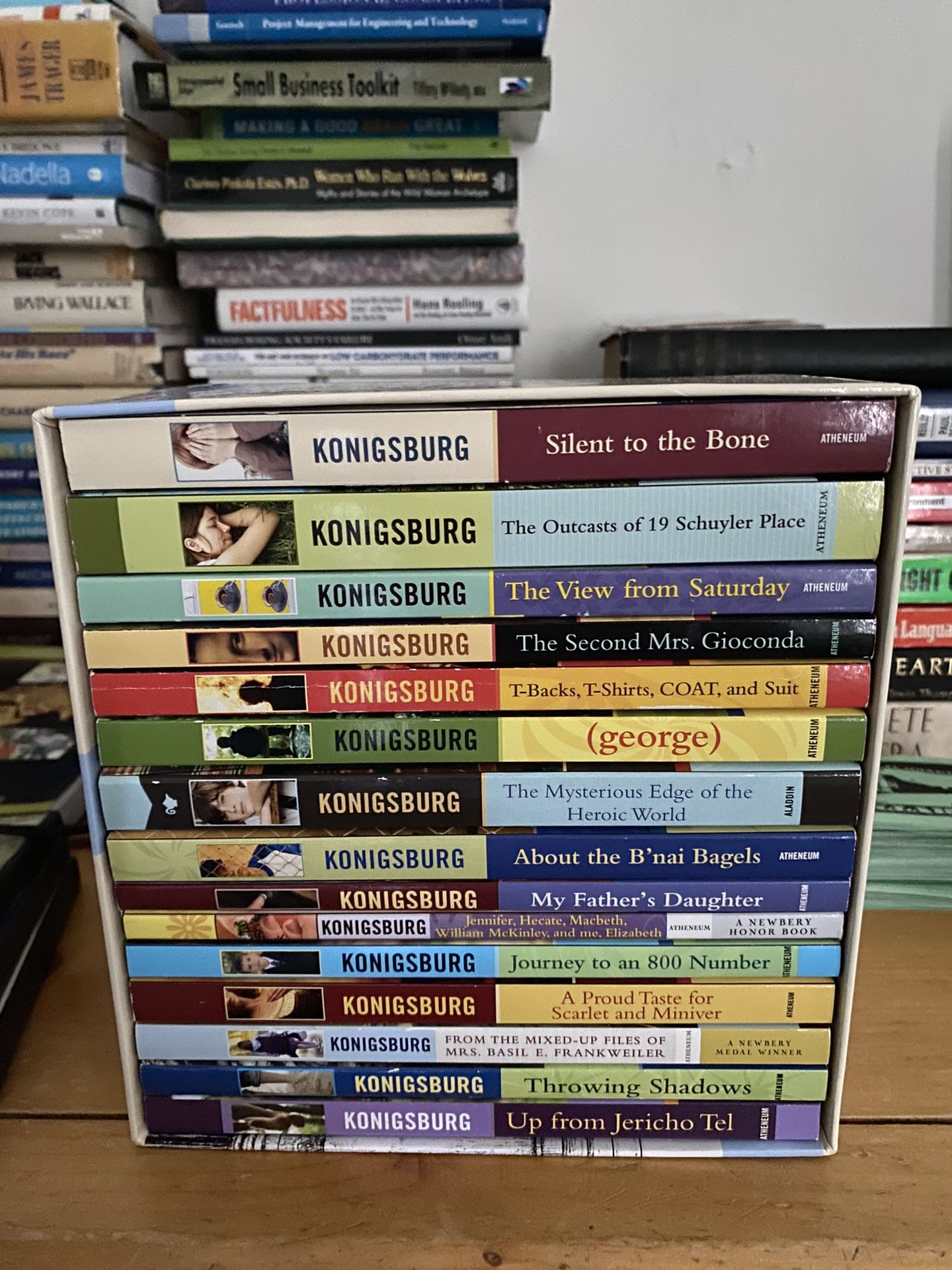 The e.l. konigsburg collection