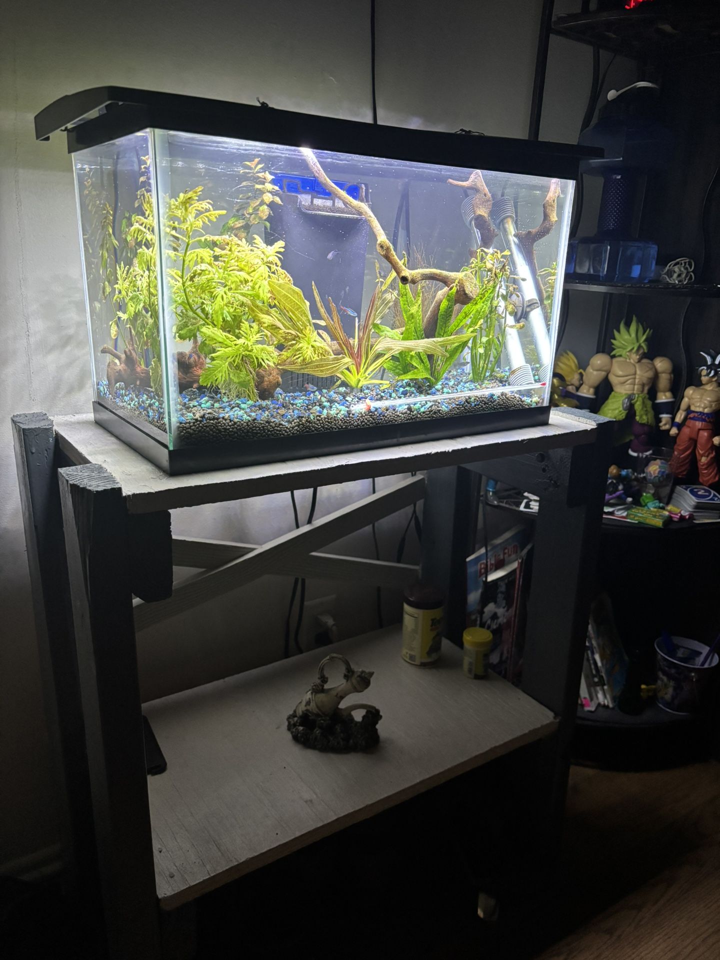 10 Gallon Fish Tank W/ Stand