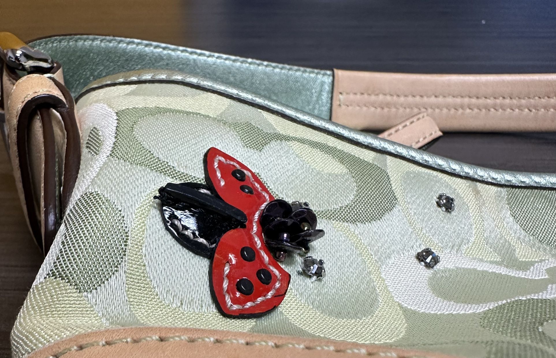 Coach Ltd Ed Green Signature C Optic Hobo Ladybug Bag Purse 