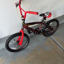 Kid Bike 17inch Wheel Size