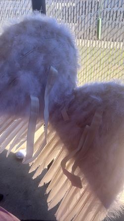 Angel wings