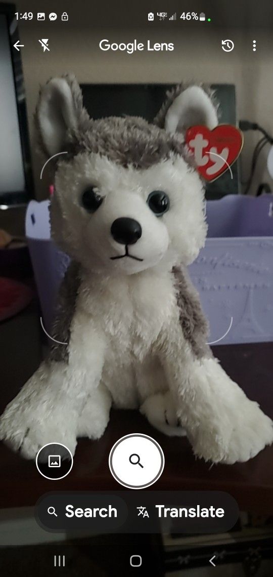 Ty Plushy Sold Separately 