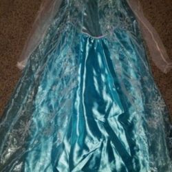 Princess Elsa Size 10/12