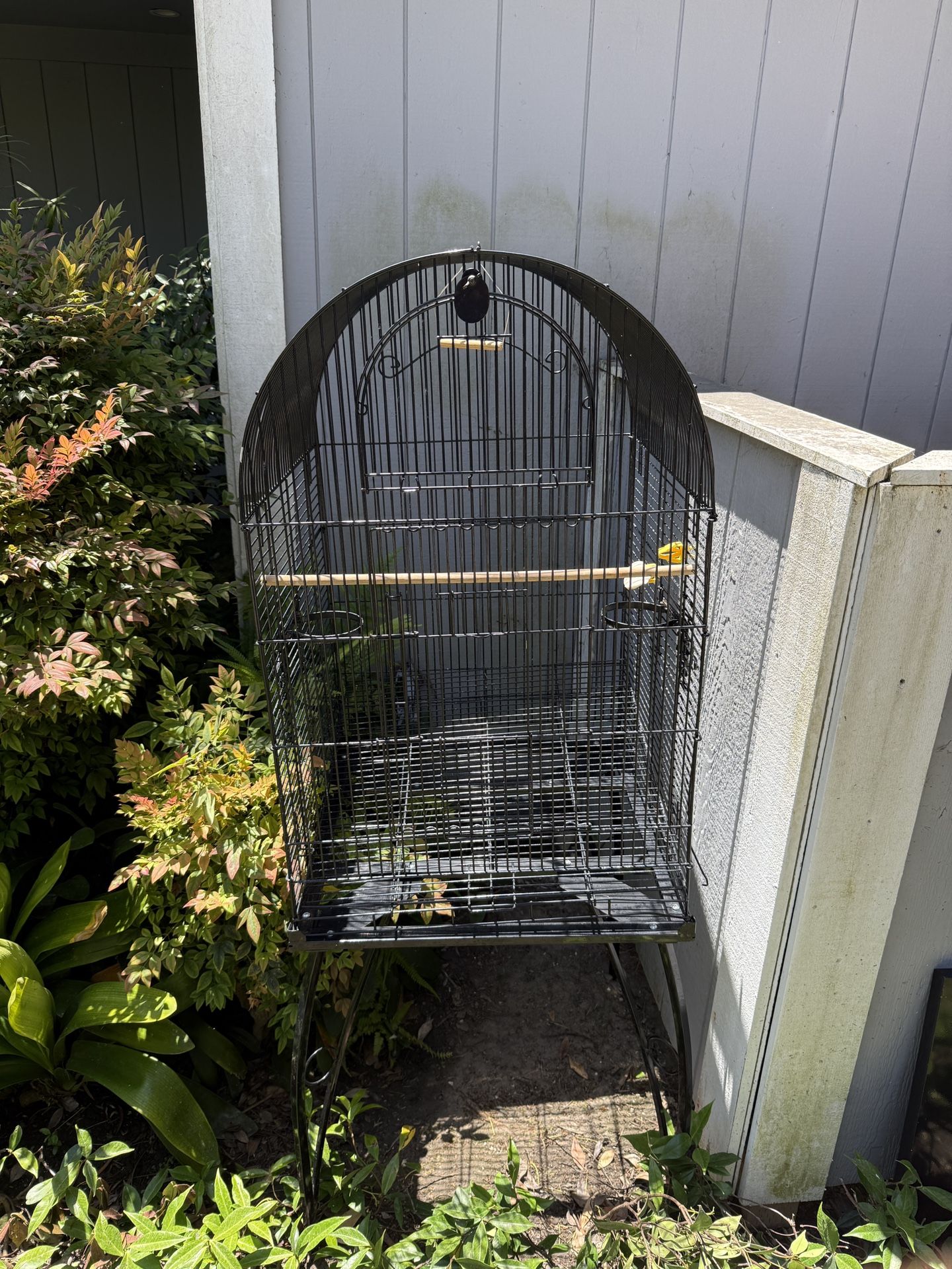 Bird Cage