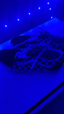Size  10 women’s checkered vans