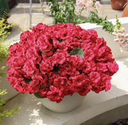 🆕 In 📦 Outdoor Artificial Flowers Red 6Bundles:Maintenance-Free,Near-Identical to Natural Counterparts,Long-Lasting Vivid Color Retention for Months