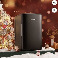 Mini Fridge 