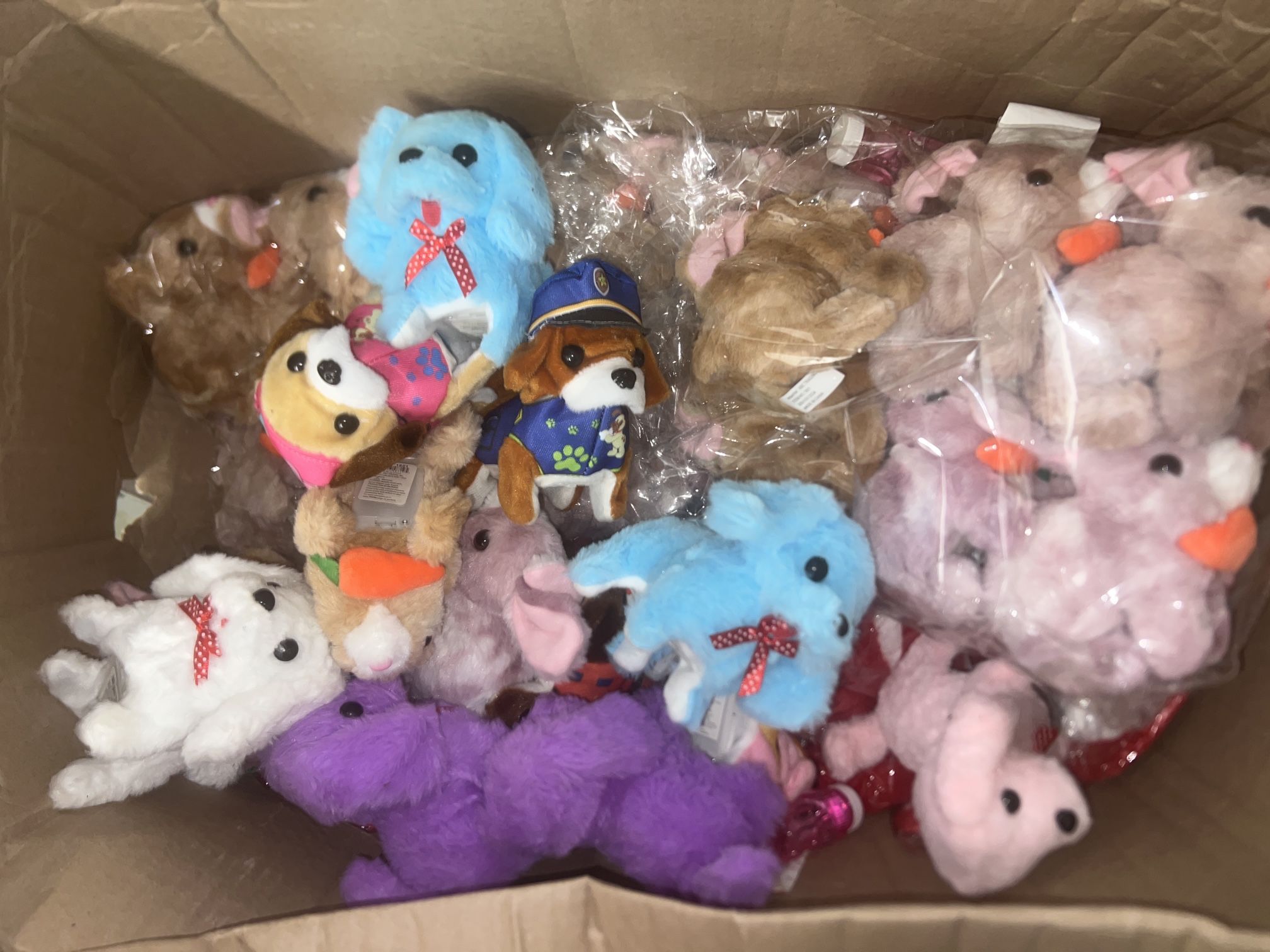 Toy Dog